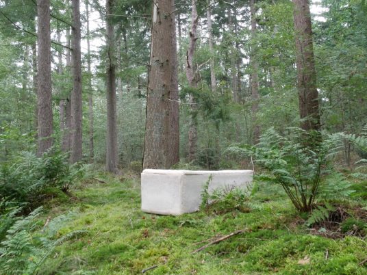 Bob Hendrikx designs Living Cocoon coffin from mushroom mycelium