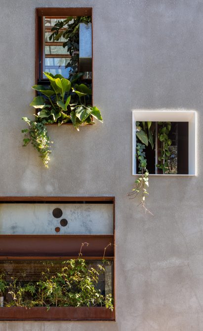 Welcome to the Jungle House renovation in Sydney, Australia, by CplusC Architectural Workshop