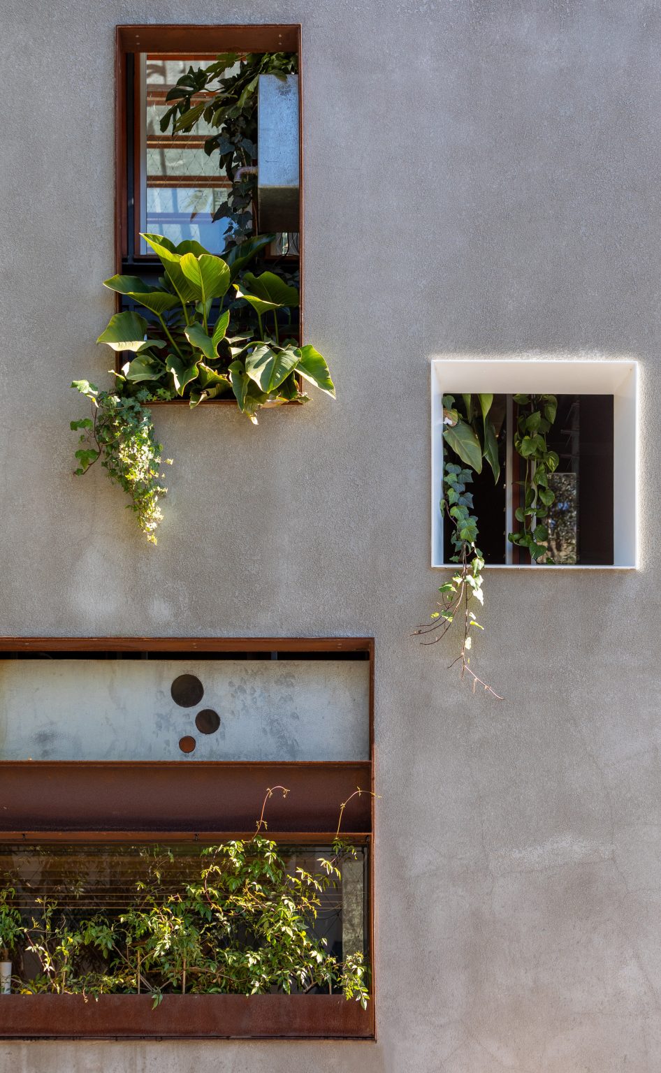Welcome to the Jungle House renovation in Sydney, Australia, by CplusC Architectural Workshop
