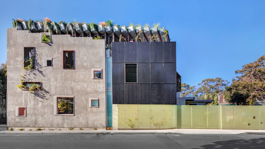 Welcome to the Jungle House renovation in Sydney, Australia, by CplusC Architectural Workshop