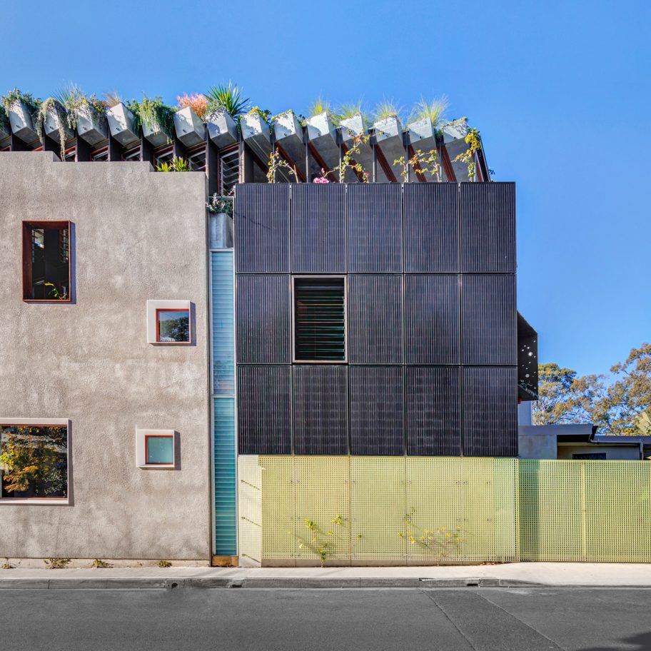 Welcome to the Jungle House renovation in Sydney, Australia, by CplusC Architectural Workshop