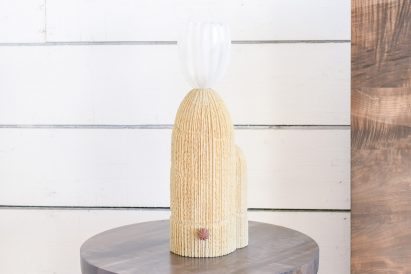Cactus lamp at Alpenglow Projects