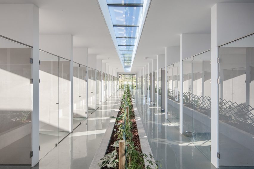 Indoor garden between kennels of Canine and feline hotel by Raulino Silva Arquitecto