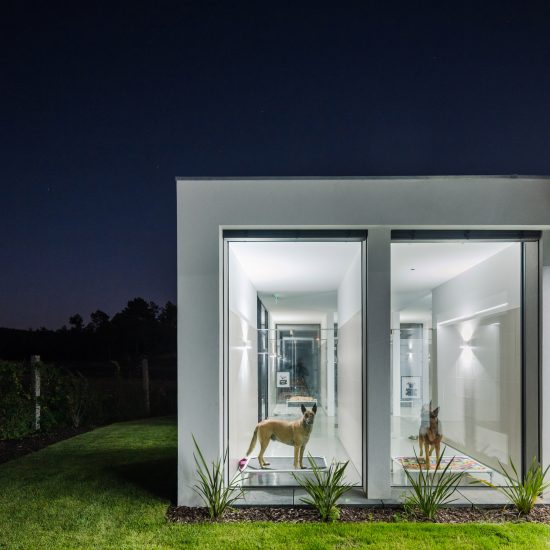 Canine and feline hotel by Raulino Silva Arquitecto