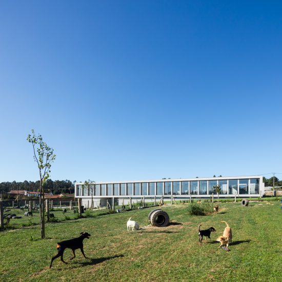 Canine and feline hotel by Raulino Silva Arquitecto