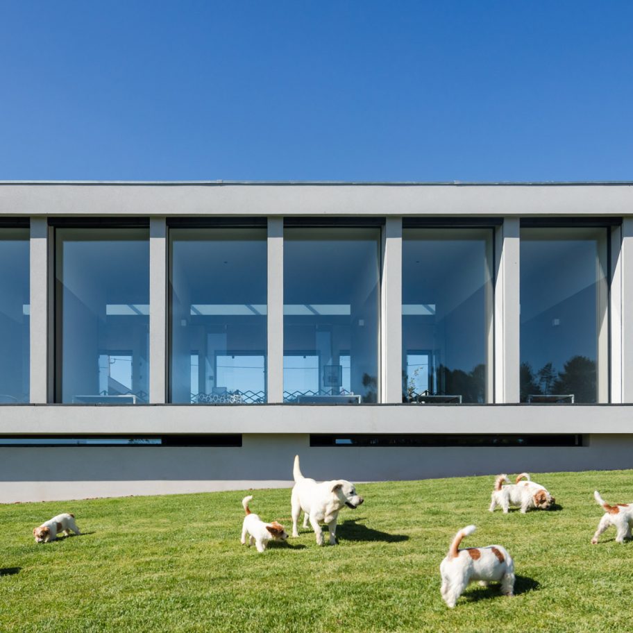 Raulino Silva Arquitecto designs a hotel for cats and dogs in Portugal