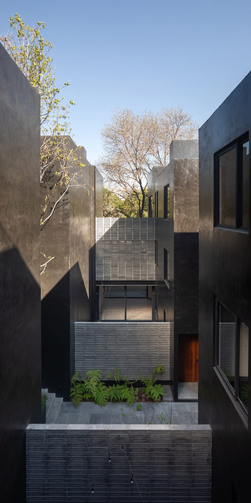 Carrizal by PPAA