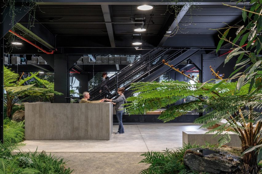 Inside of Crye Precision Headquarters by MN DCP in Brooklyn, New York
