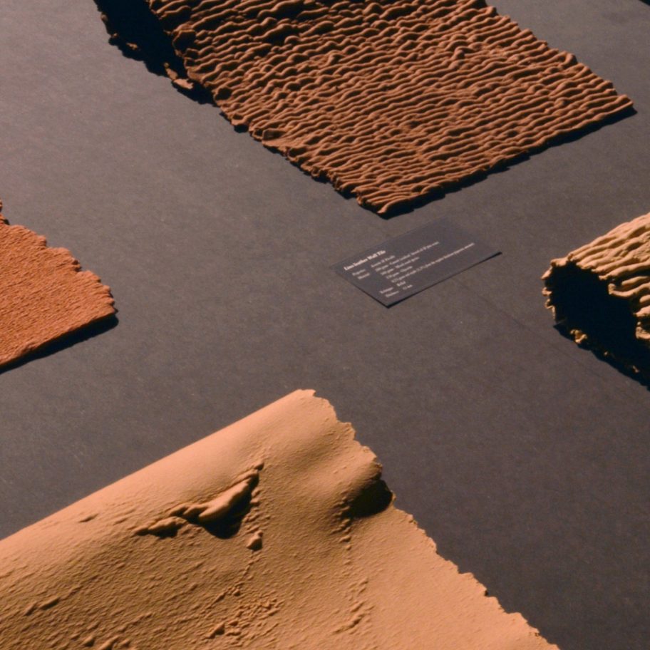 Six animal leather alternatives made from plants and food waste