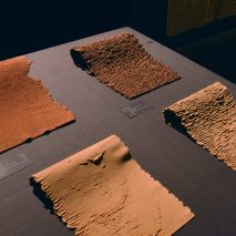 Six animal leather alternatives made from plants and food waste