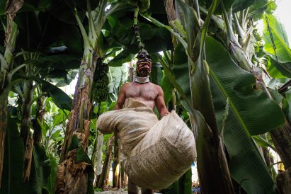 Erez Nevi Pana designs human "cocoons" from banana plants for Tropical Milan installation