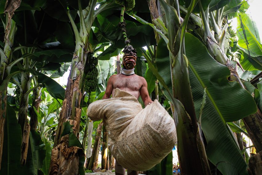 Erez Nevi Pana designs human "cocoons" from banana plants for Tropical Milan installation