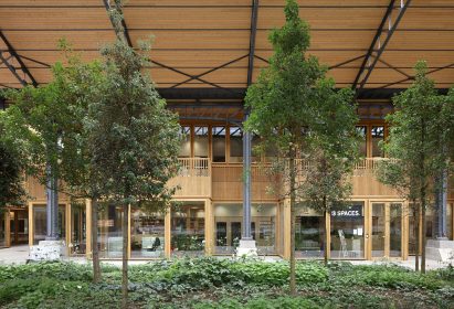 Trees inside the shopping centre