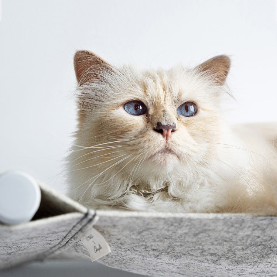 Choupette models the Swing hammock bed by LucyBalu