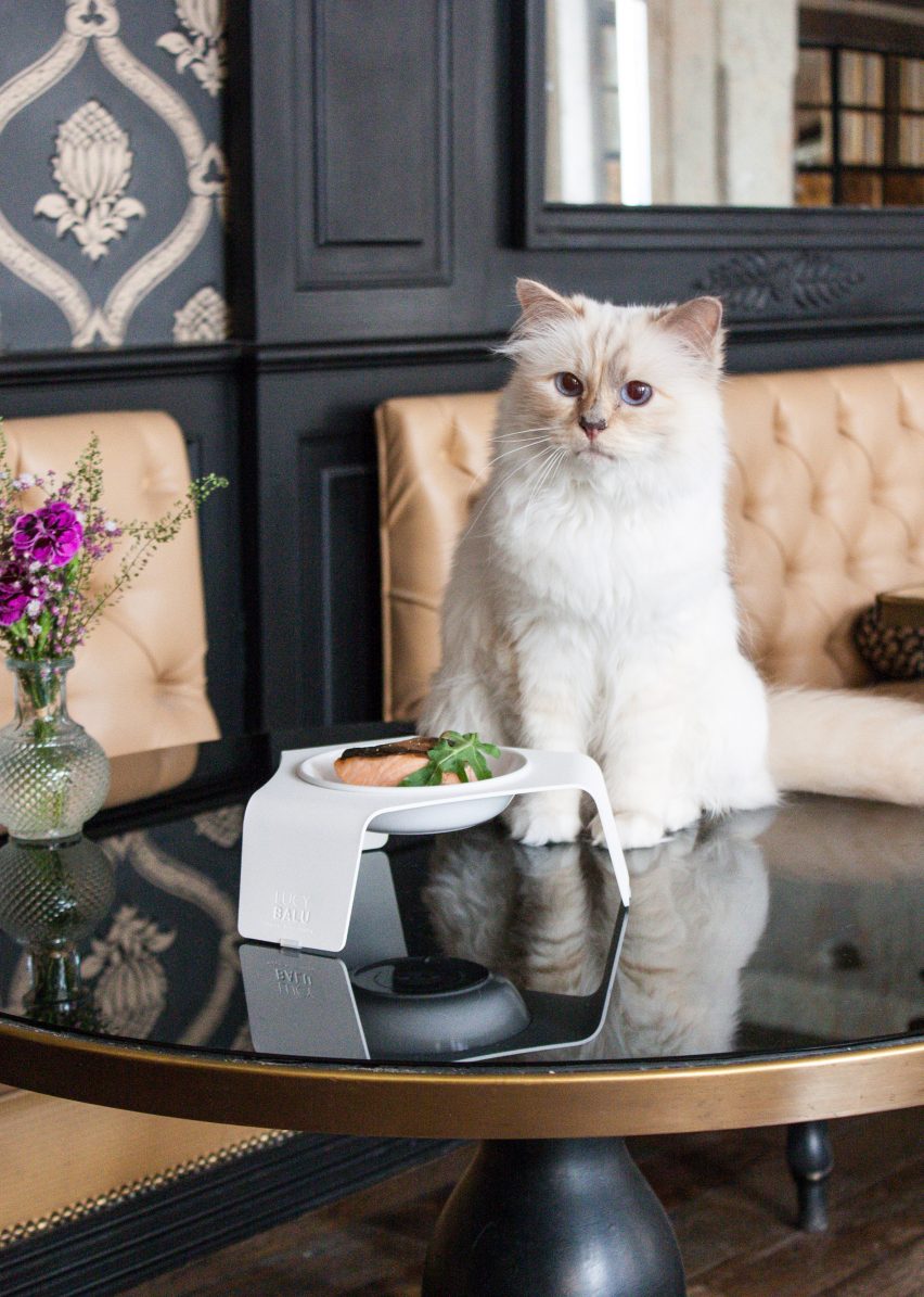 Choupette lives in Paris
