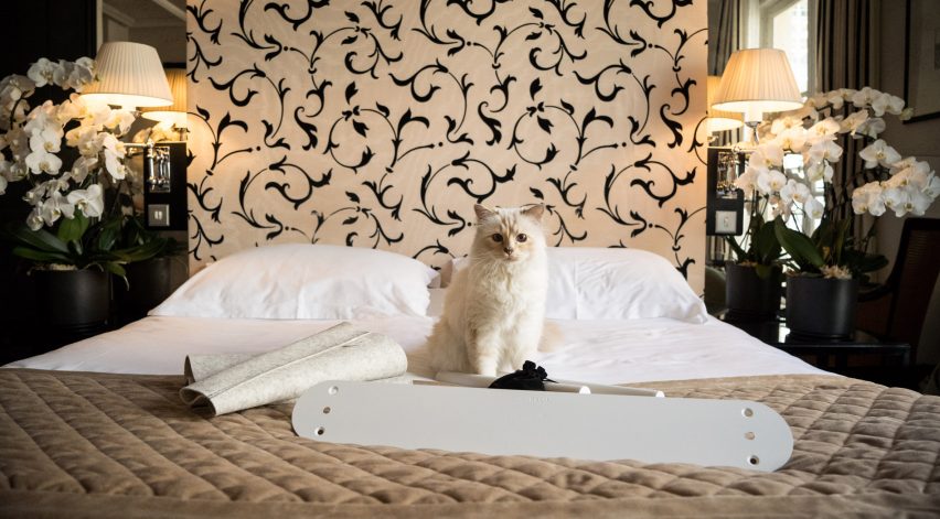 Choupette inspects Swing bed by LucyBalu before it is assembled