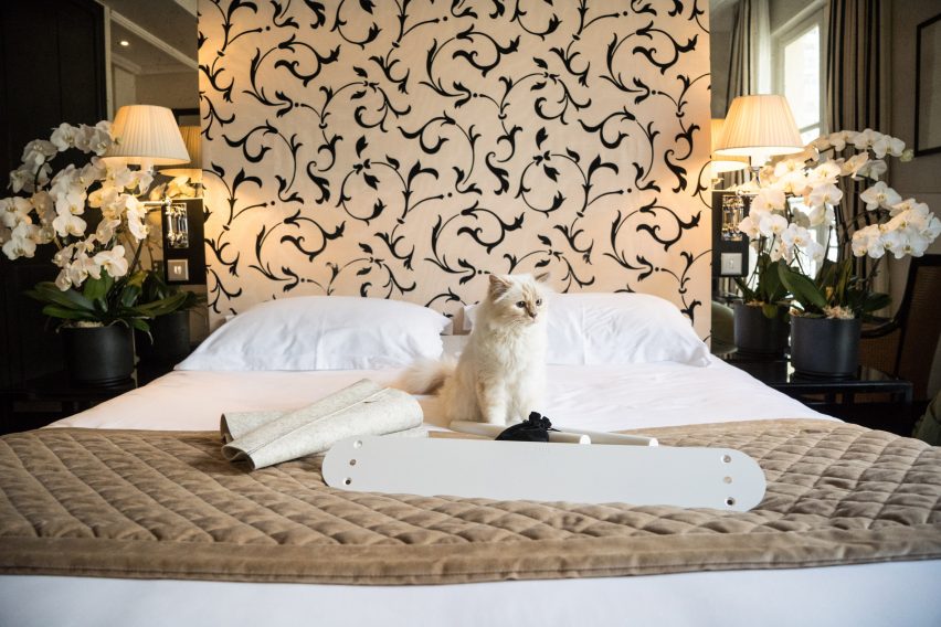 Choupette inspects Swing bed by LucyBalu before it is assembled
