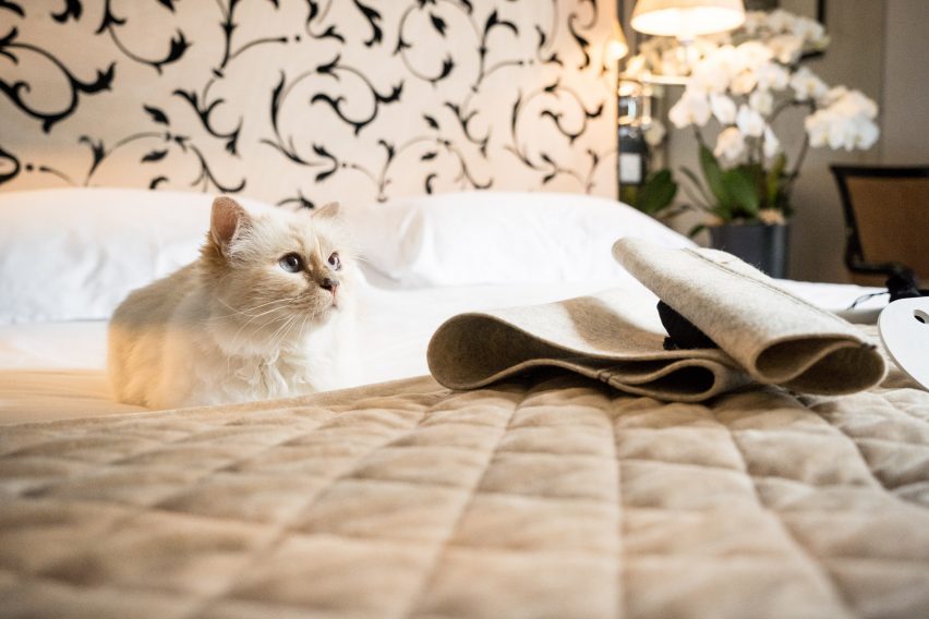 Choupette inspects Swing bed by LucyBalu before it is assembled