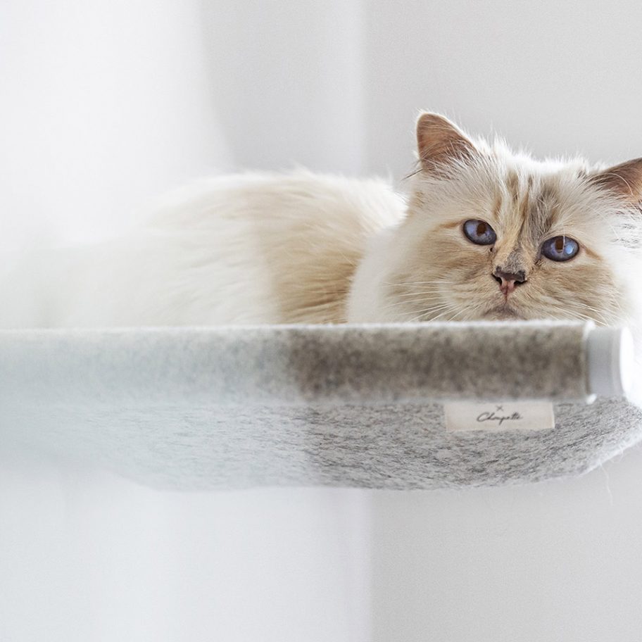Choupette models the Swing hammock bed by LucyBalu