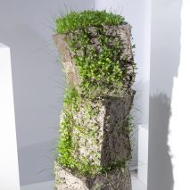 Martina Taranto for Dutch Design Week 2020