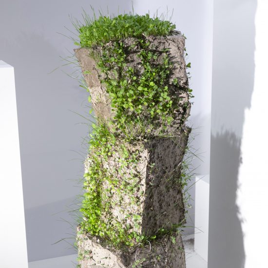 Martina Taranto for Dutch Design Week 2020