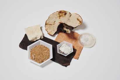 Adidas, Stella McCartney Lululemon and Kering to sell mushroom leather by next year