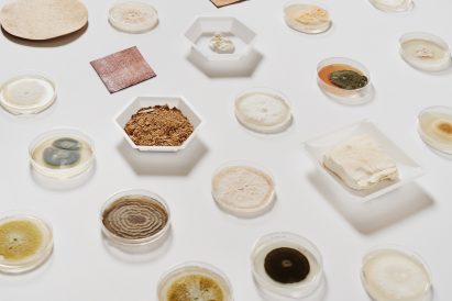 Adidas, Stella McCartney Lululemon and Kering to sell mushroom leather by next year