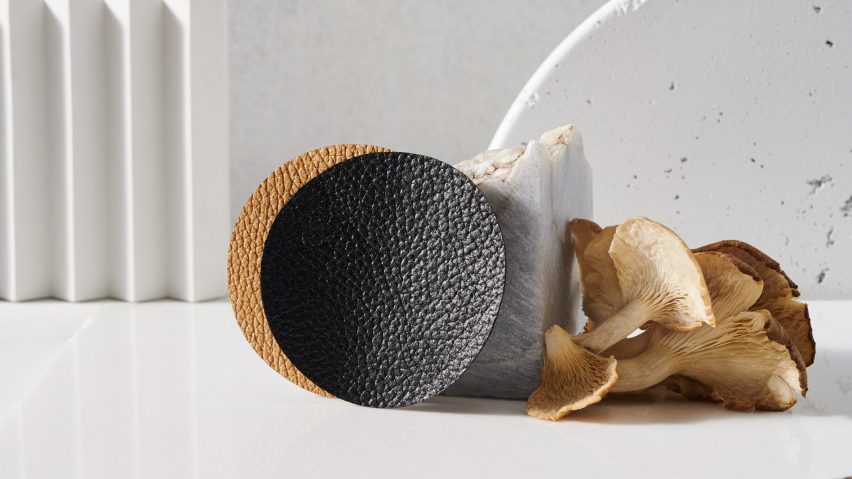Adidas, Stella McCartney Lululemon and Kering to sell Mylo mushroom leather by next year