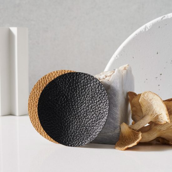 Adidas, Stella McCartney Lululemon and Kering to sell Mylo mushroom leather by next year
