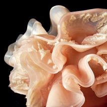 Prosthetic X project for Dutch Design Week 2020
