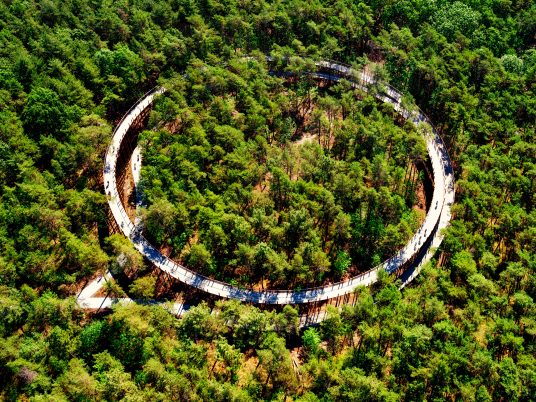 Cycling Through The Trees in Limburg by BuroLandschap and De Gregorio & Partners