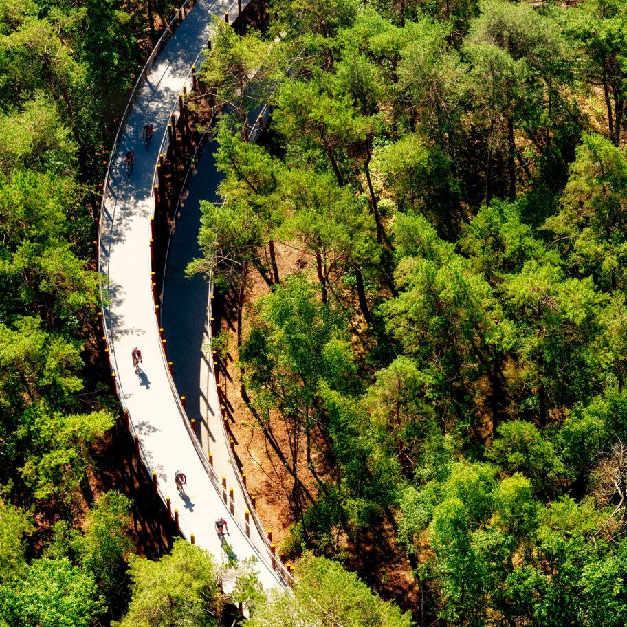 Cycling Through The Trees in Limburg by BuroLandschap and De Gregorio & Partners