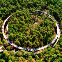 Cycling Through The Trees in Limburg by BuroLandschap and De Gregorio & Partners