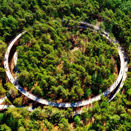 Cycling Through The Trees in Limburg by BuroLandschap and De Gregorio & Partners