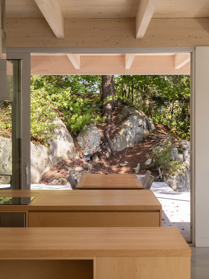 View through window of Forest House I by Natalie Dionne Architecture