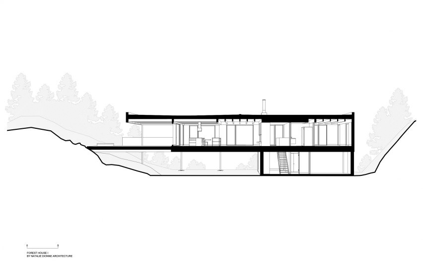 Long section of Forest House I by Natalie Dionne Architecture