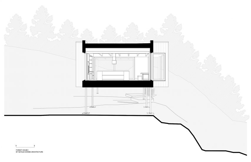 Cross section of Forest House I by Natalie Dionne Architecture