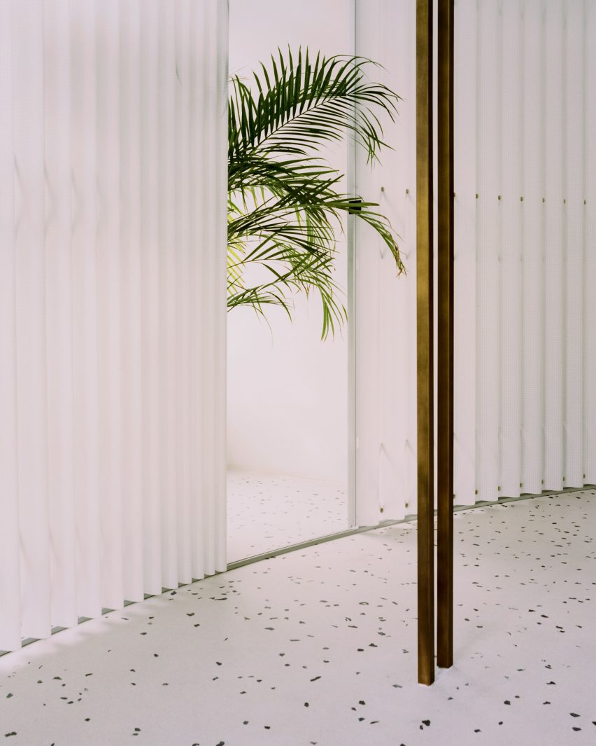 Exotic plants in Grifo210 boutique by Paritzki & Liani Architects