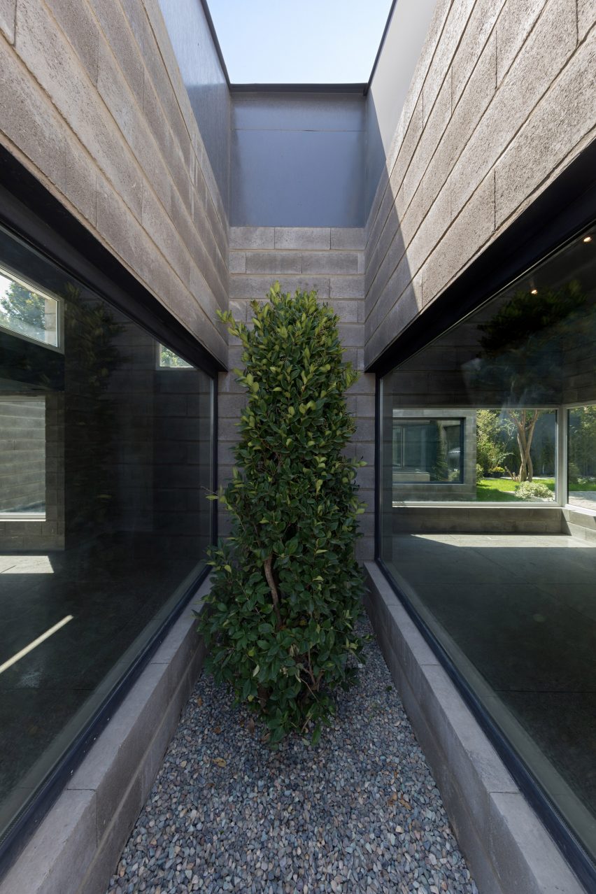 Greenery at Aptus Factory Showroom by Hooba Design Group