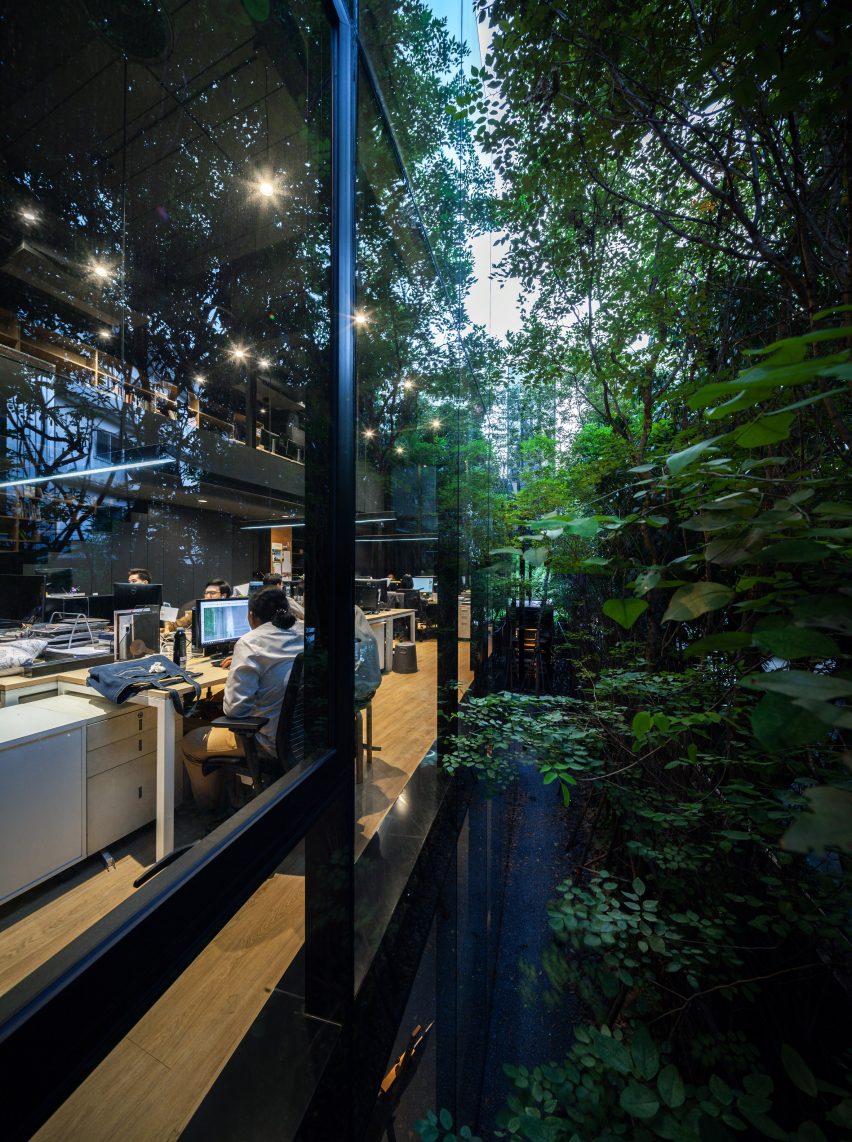 Trees outside of IDIN Architects Office in Bangkok, Thailand