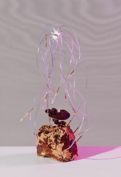 Mycelium material at Metabolic Processes for Leftovers