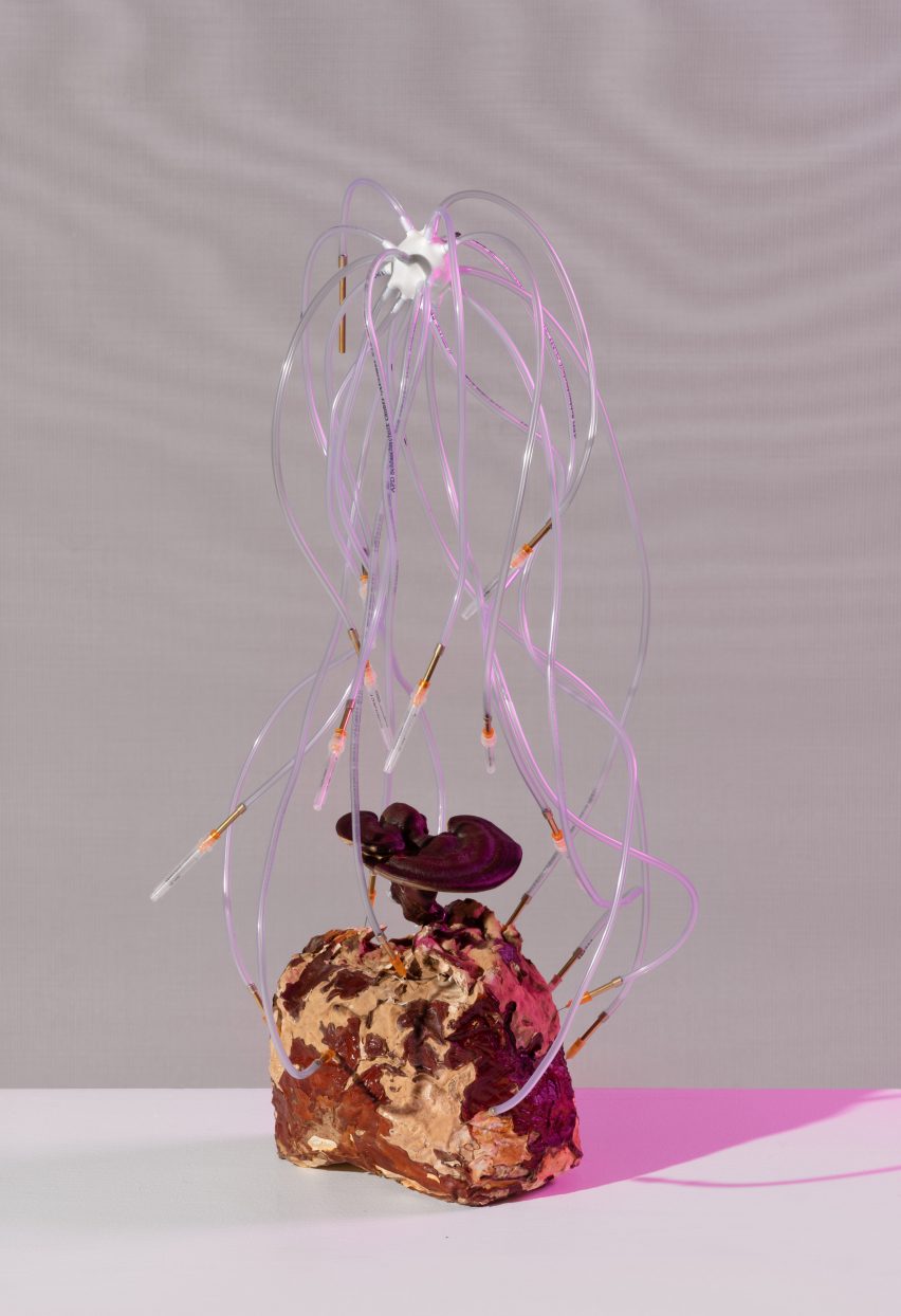 Mycelium material at Metabolic Processes for Leftovers