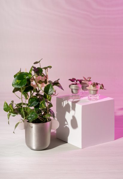 Plant pots and flower clips Metabolic Processes for Leftovers exhibition
