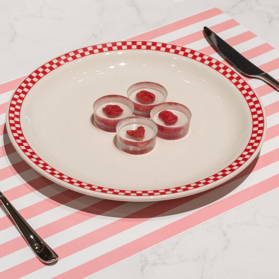 The Ouroboros Steak by Andrew Pelling, Orkan Telhan and Grace Knight