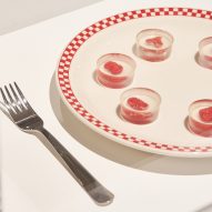 The Ouroboros Steak by Andrew Pelling, Orkan Telhan and Grace Knight on display as part of Designs of the Year