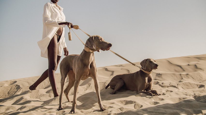 The Tascher leash and Dórro collar by Pagerie
