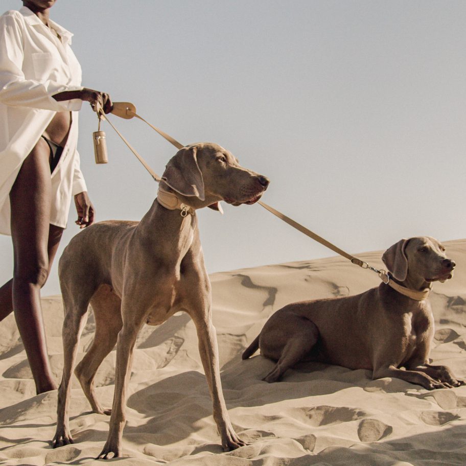 The Tascher leash and Dórro collar by Pagerie