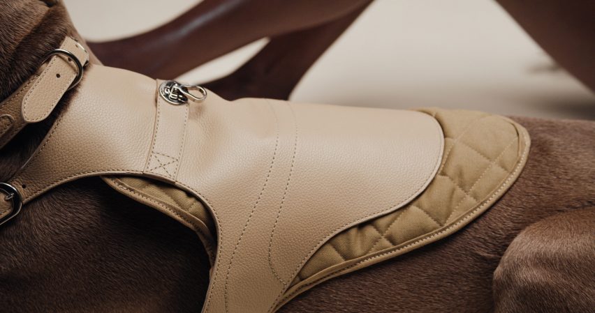 The Babbi harness by Pagerie