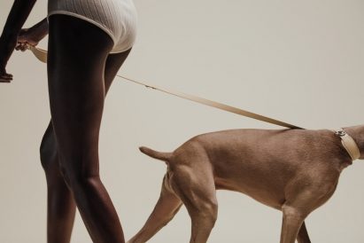 The Tascher leash and Dórro collar by Pagerie
