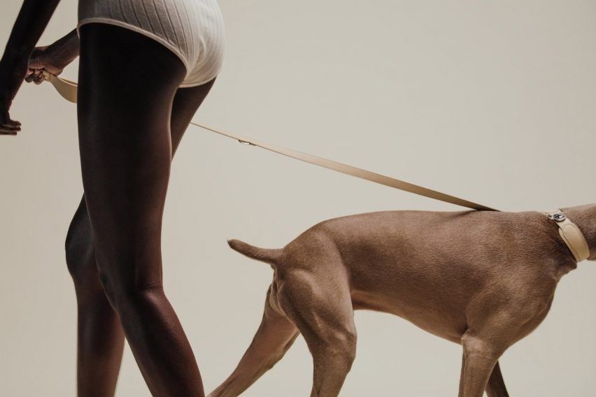 The Tascher leash and Dórro collar by Pagerie